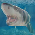 鲨鱼海洋下载-鲨鱼海洋苹果v7.3.3